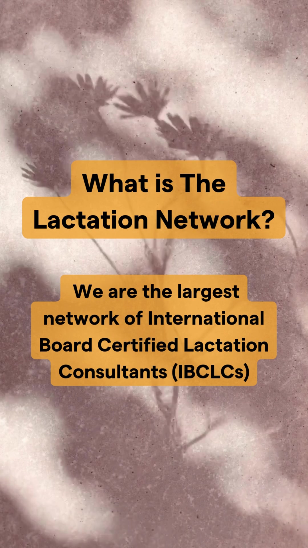 @The Lactation Network