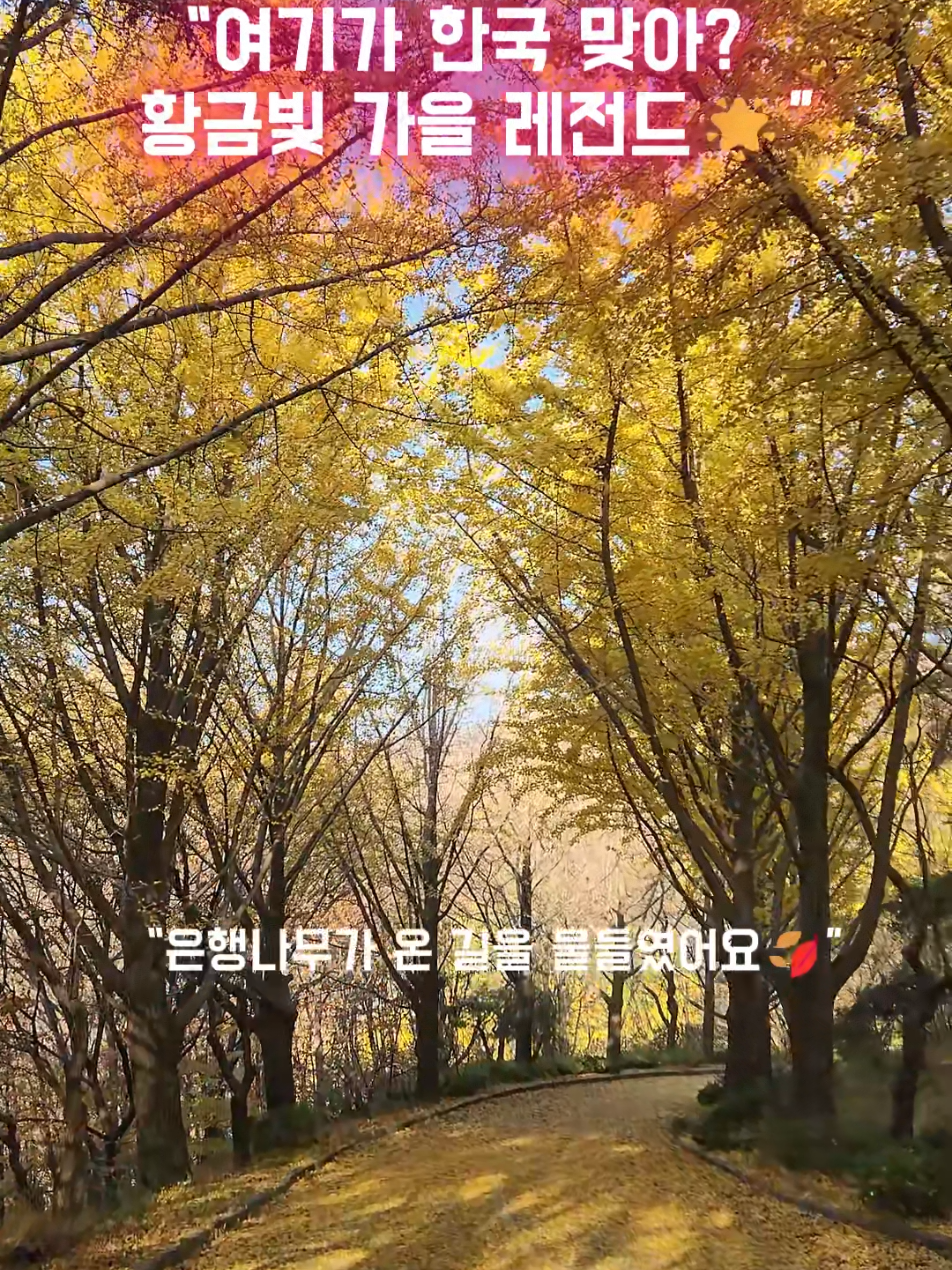 @로즈