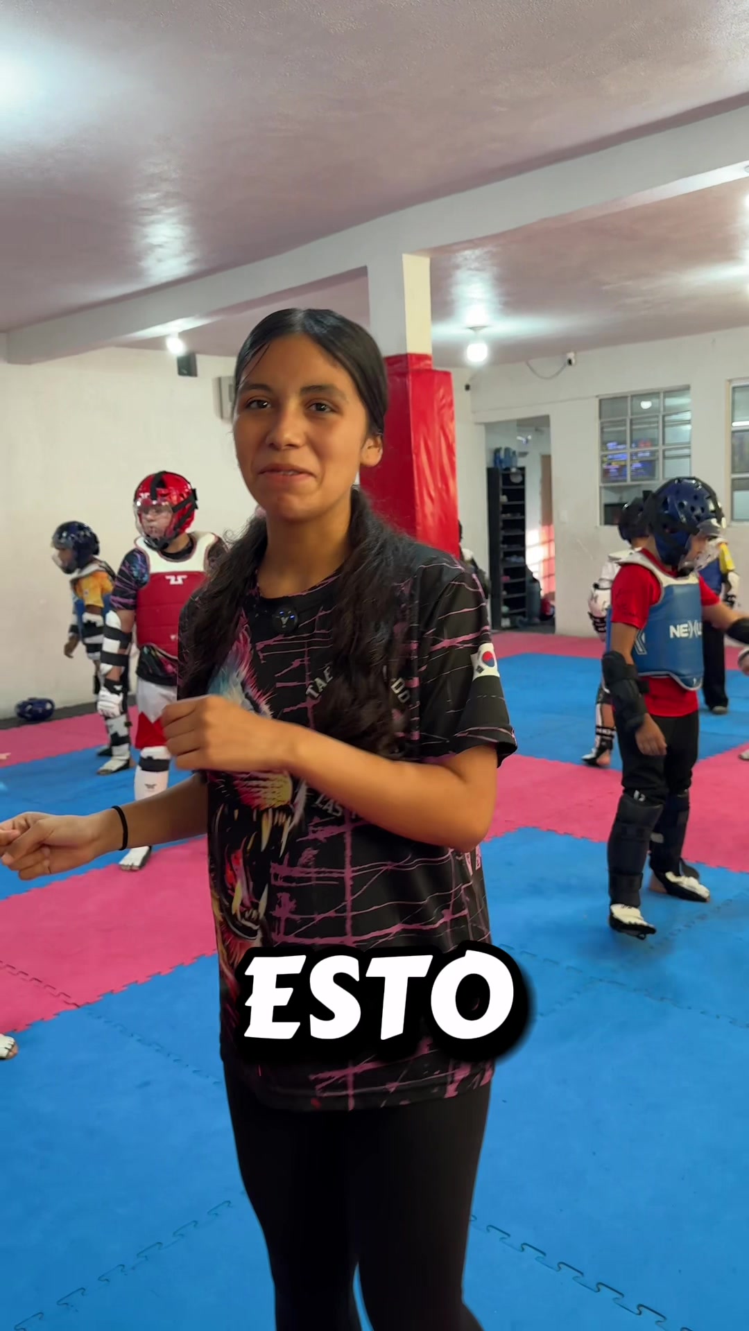@taekwondolionsteam