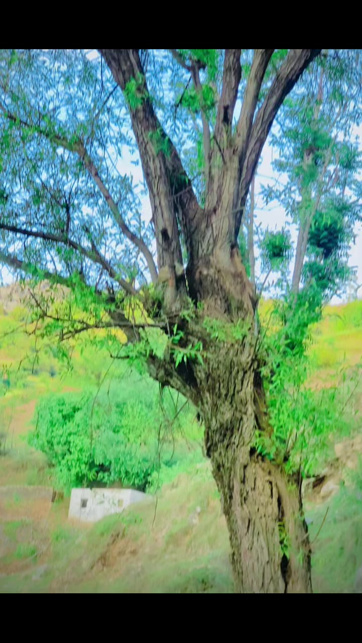 @sajidkhan1414