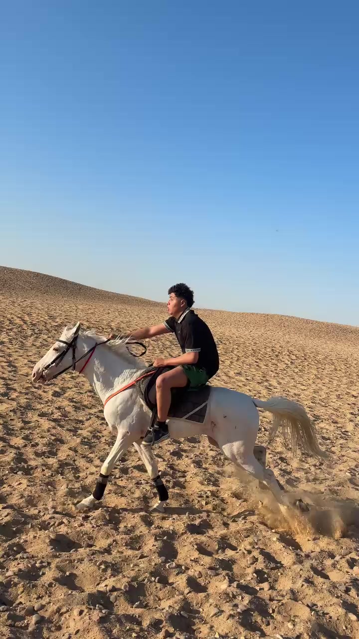 @ashoreldawly1๐