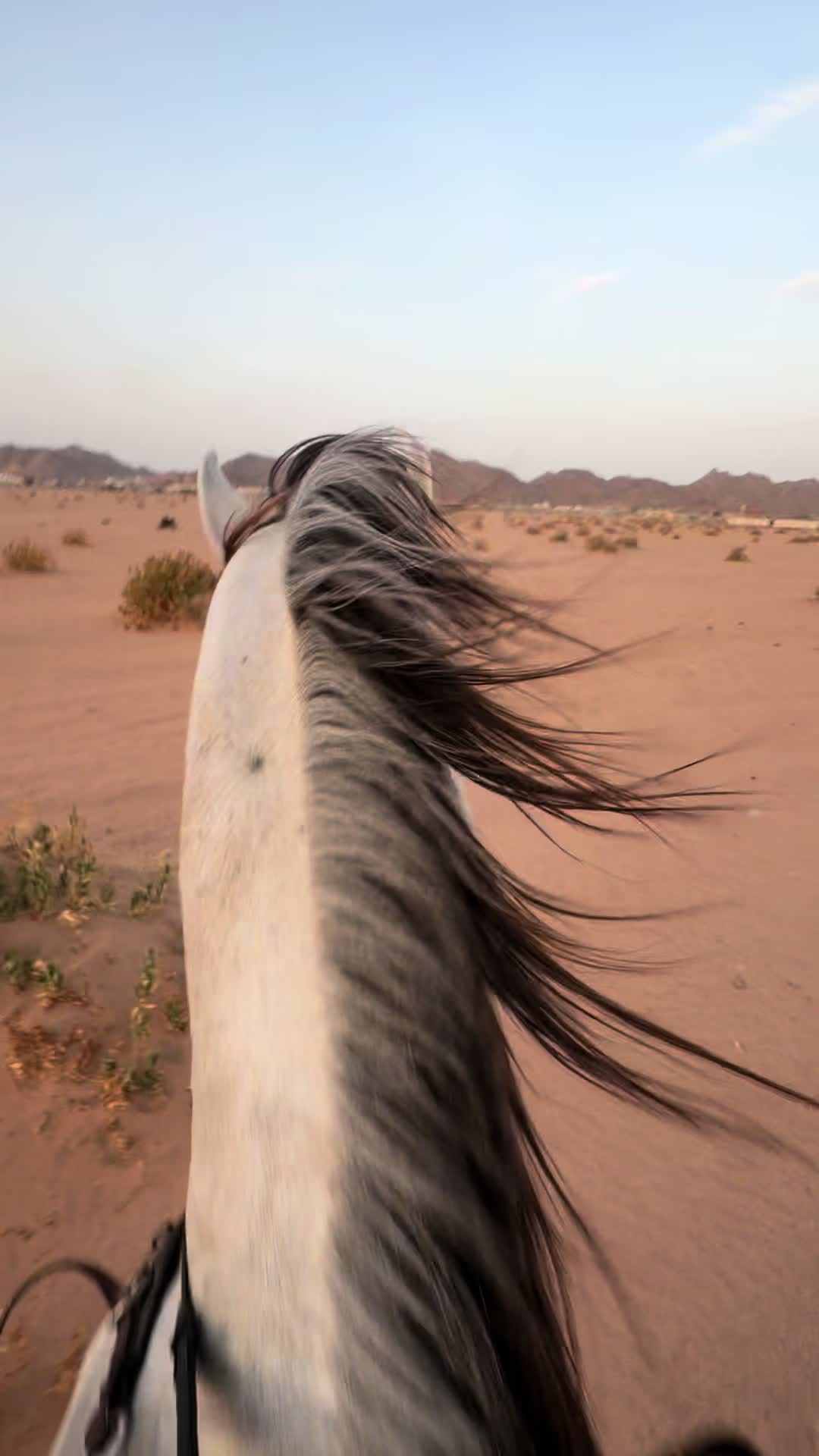 @سعيد ✨
