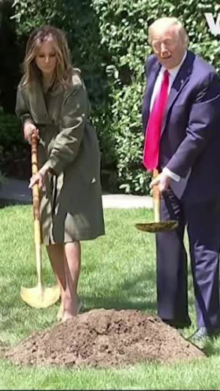 @Trump Family Vibes