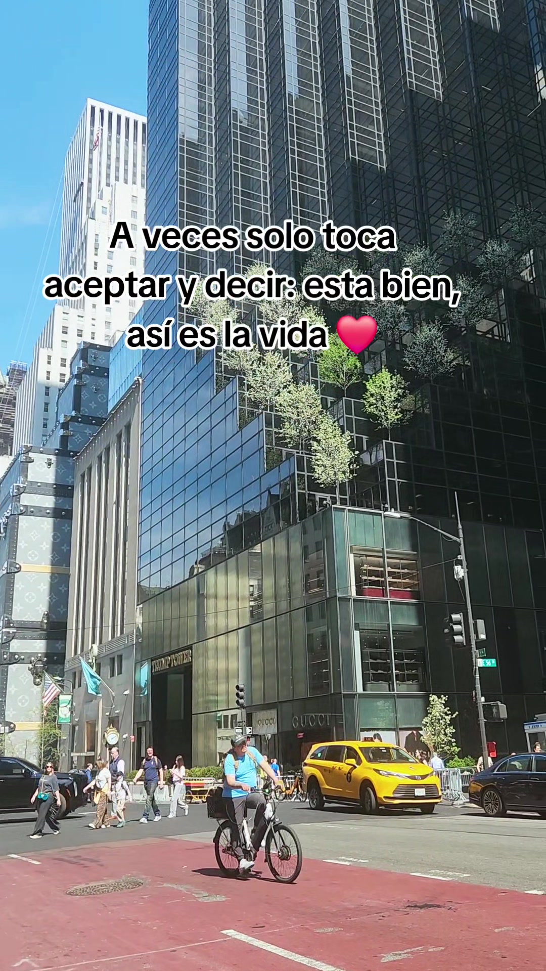 @terezhiiiiiii