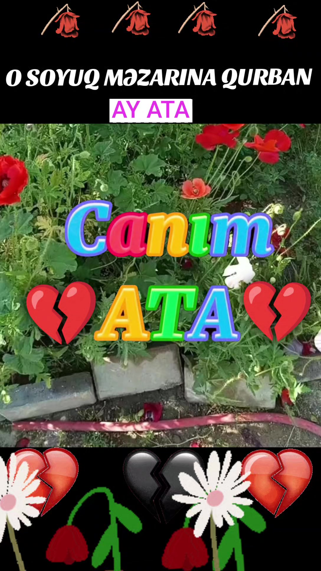 @Müqəddəs baba-1
