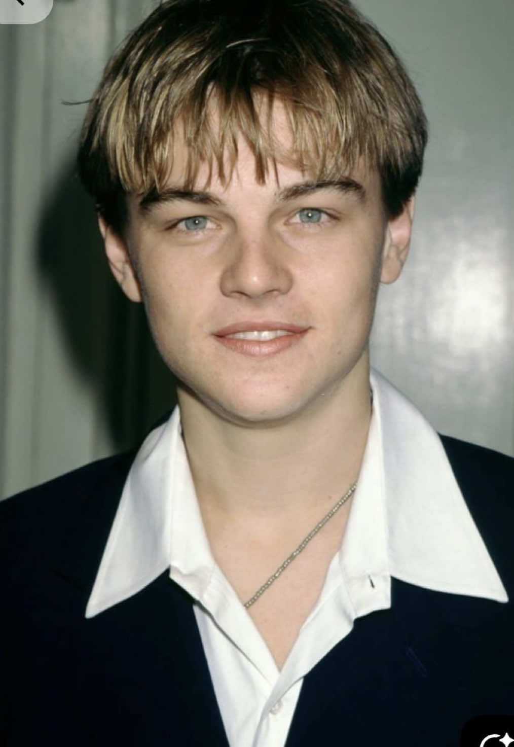 @Leonardo DiCaprios Wife๐๐๐ธ