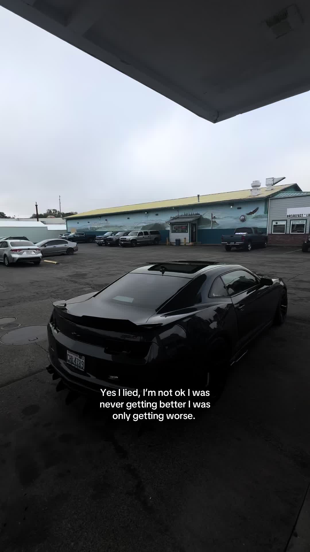@midnight_zl1