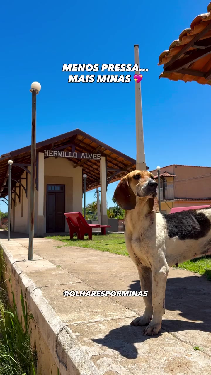 @Minas Gerais