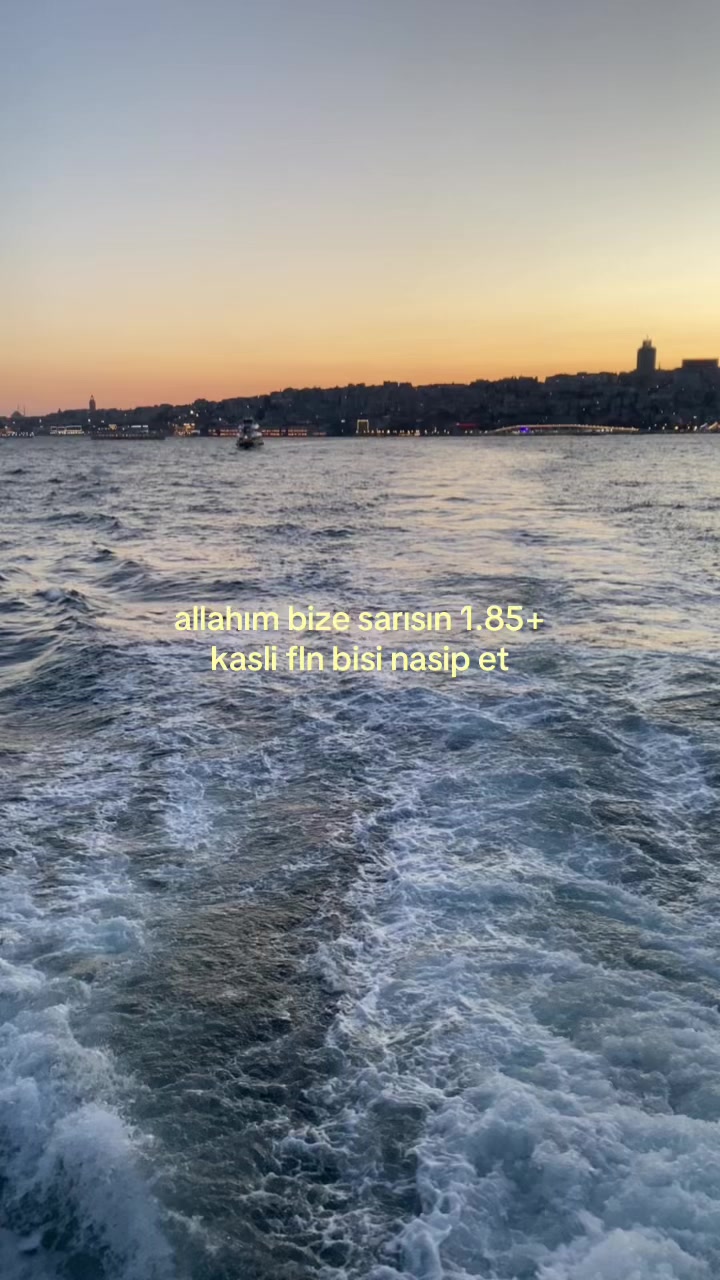 @mangolufuseteatapicisi
