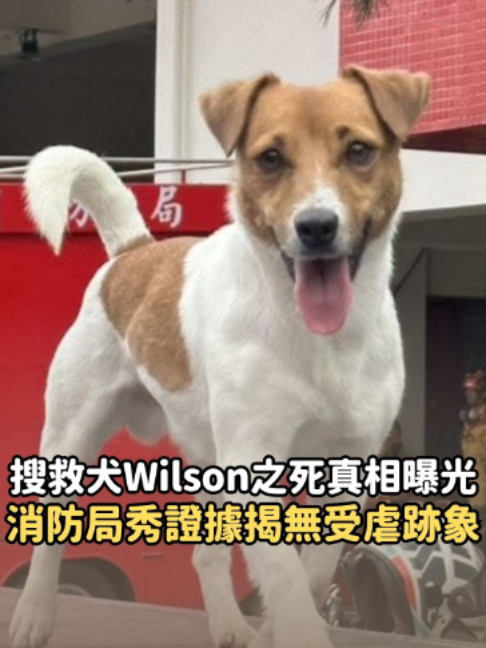 @知新聞