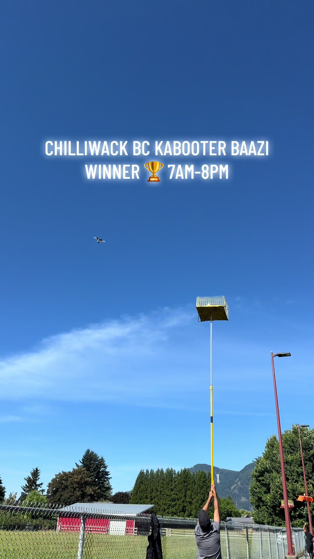 @Kabootershokeen