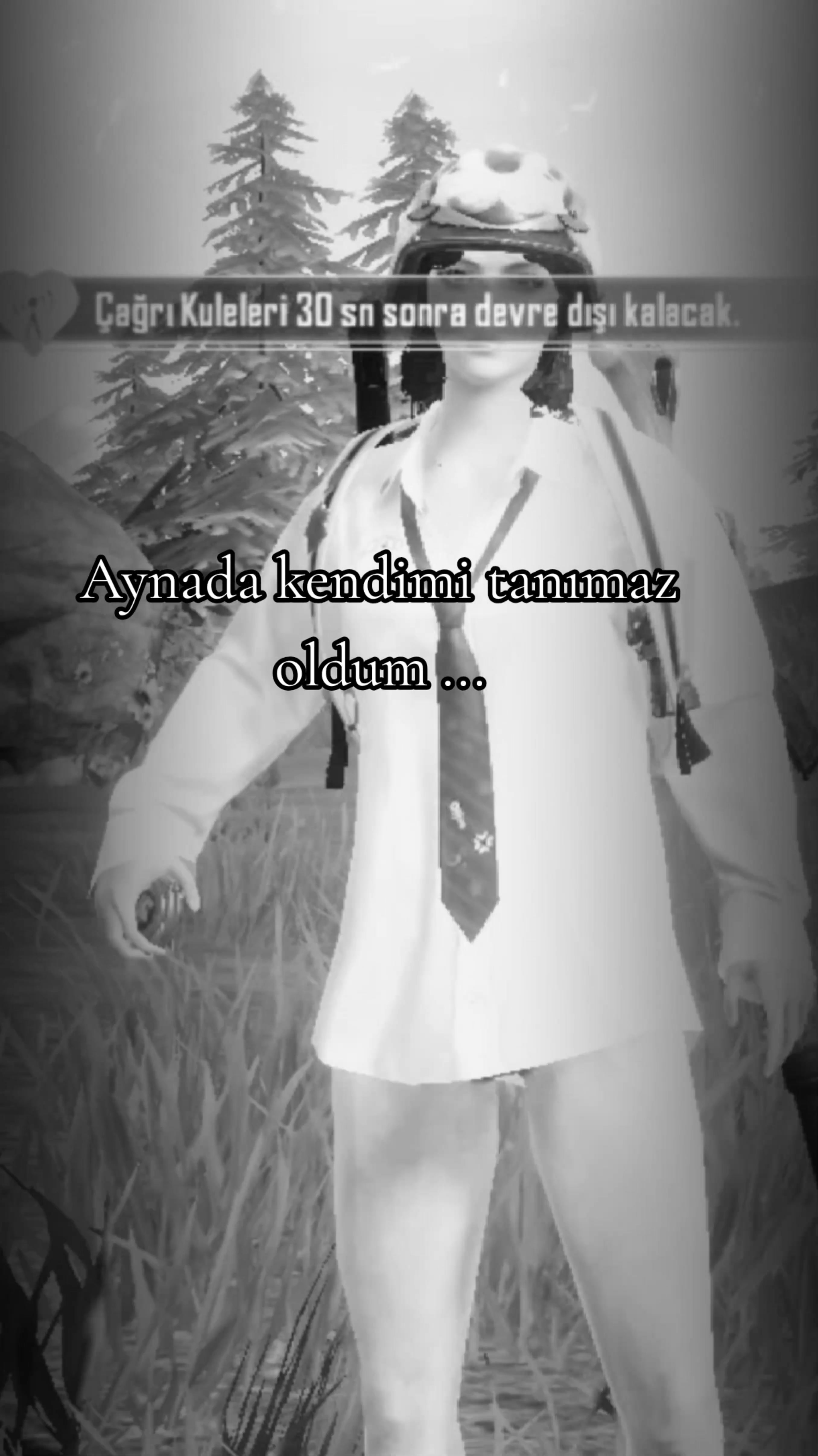 @ミ★ Ne&Ccedil;E🍁 ZOZAN ★彡