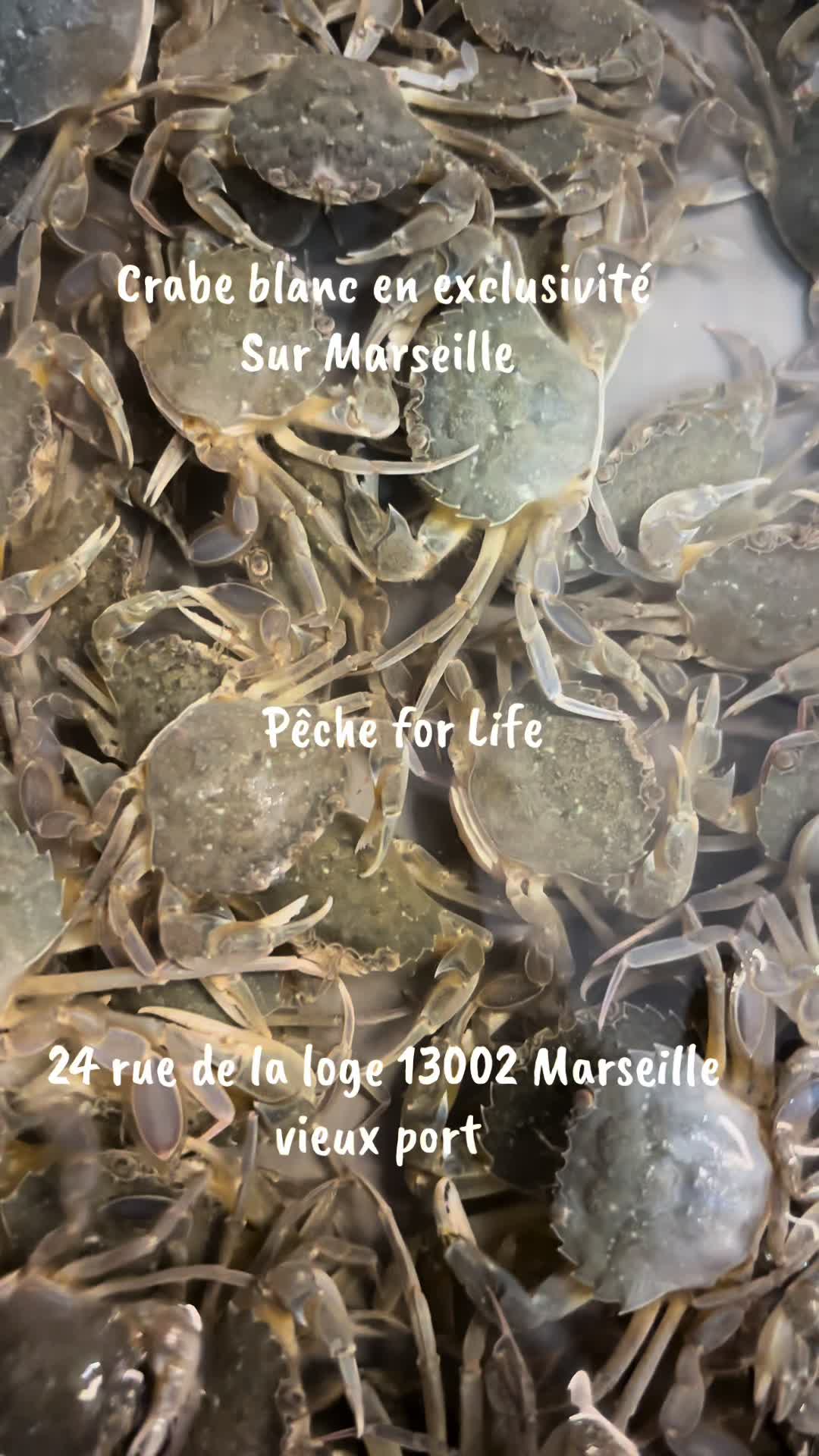 @P&ecirc;che for Life