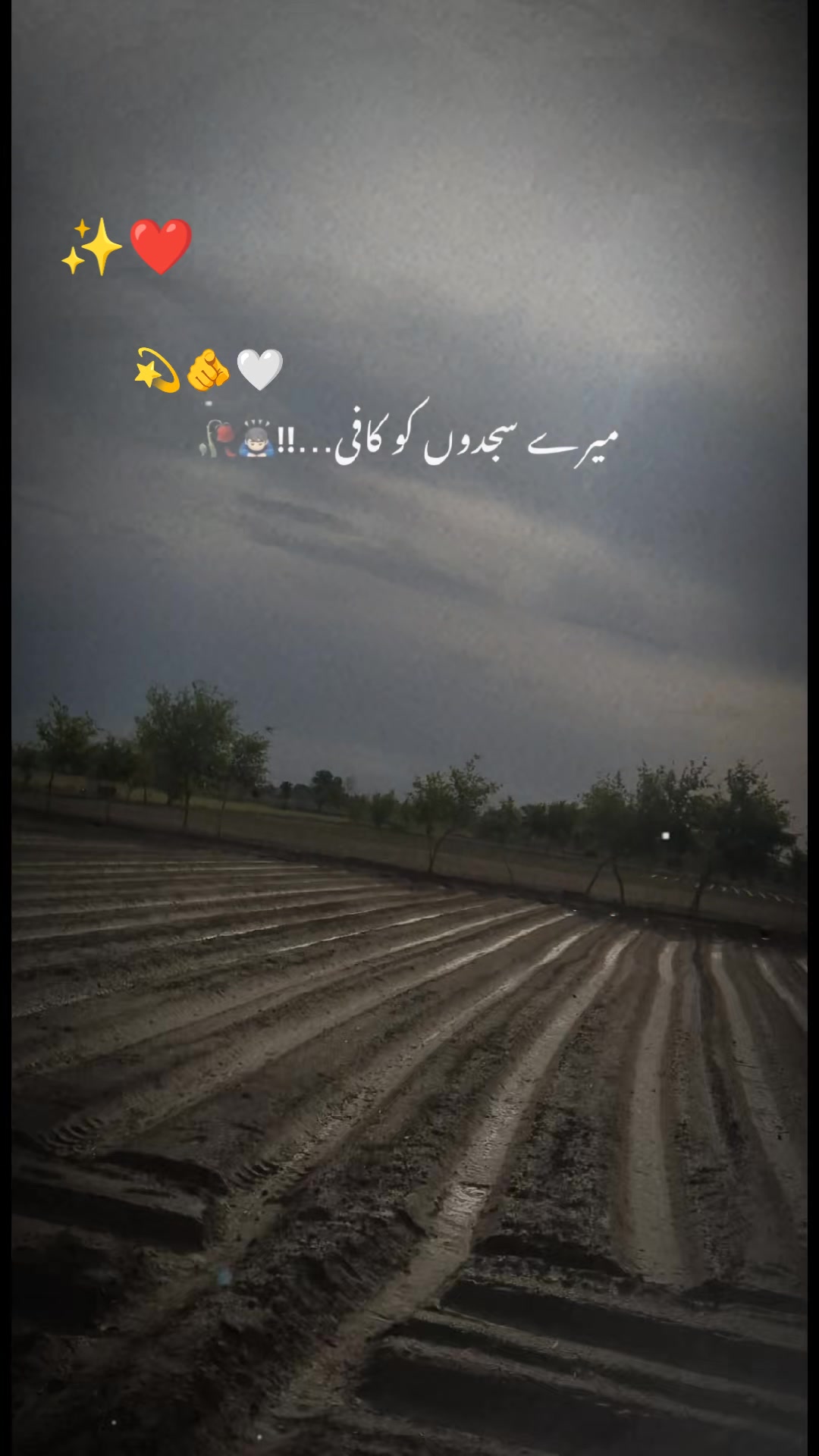 @𝒜𝓁𝑒𝑒𝒷𝒽𝒶𝒾🌹✅