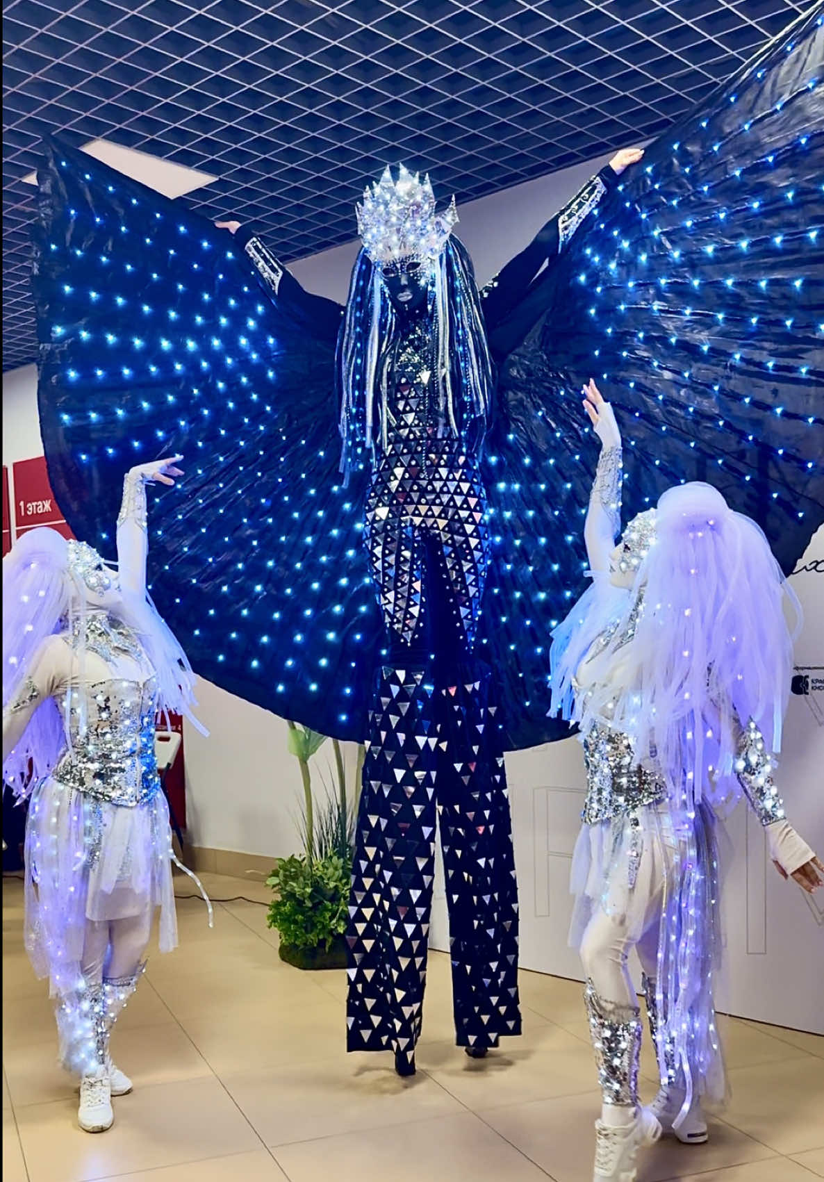 @Pandora Show/Световое шоу/LED