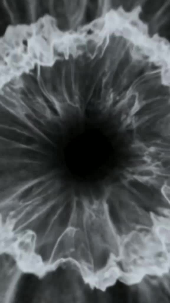 @۶۶𝛵℮𝜂ℌ𝛼 ۶۶