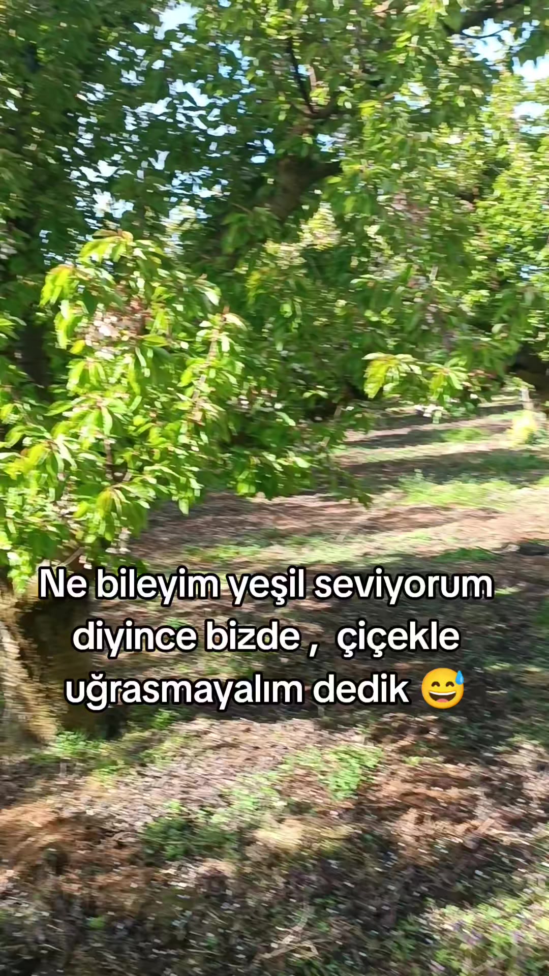 @Halil