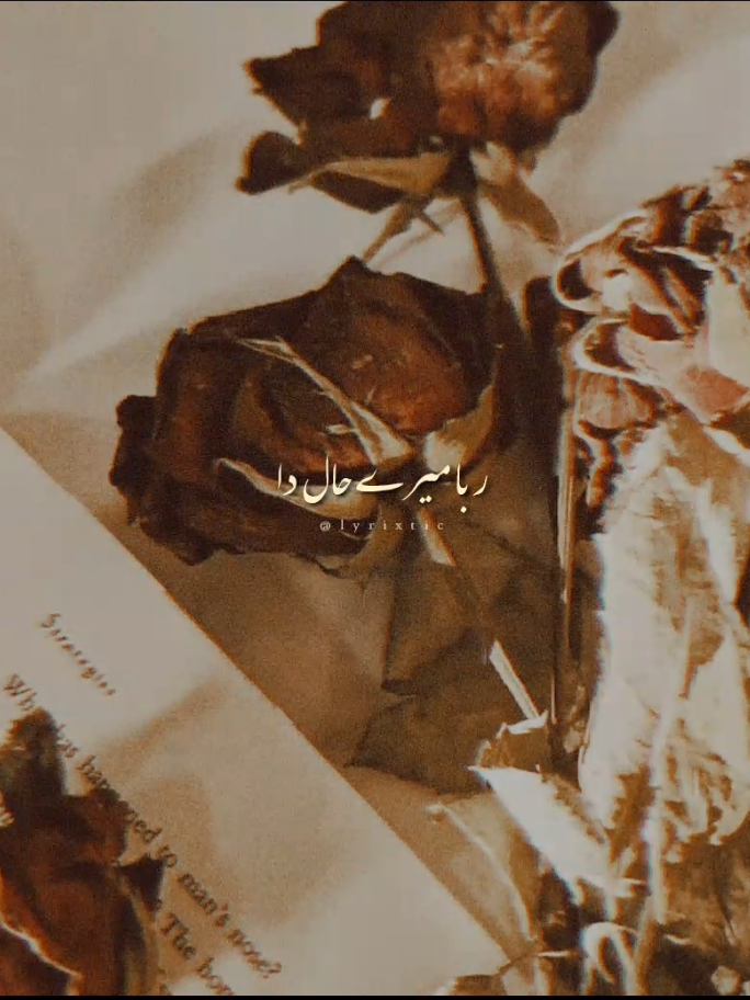 @˙.◌˚𝐋𝐲𝐫𝐢𝐱𝐭𝐢𝐜🍂.•