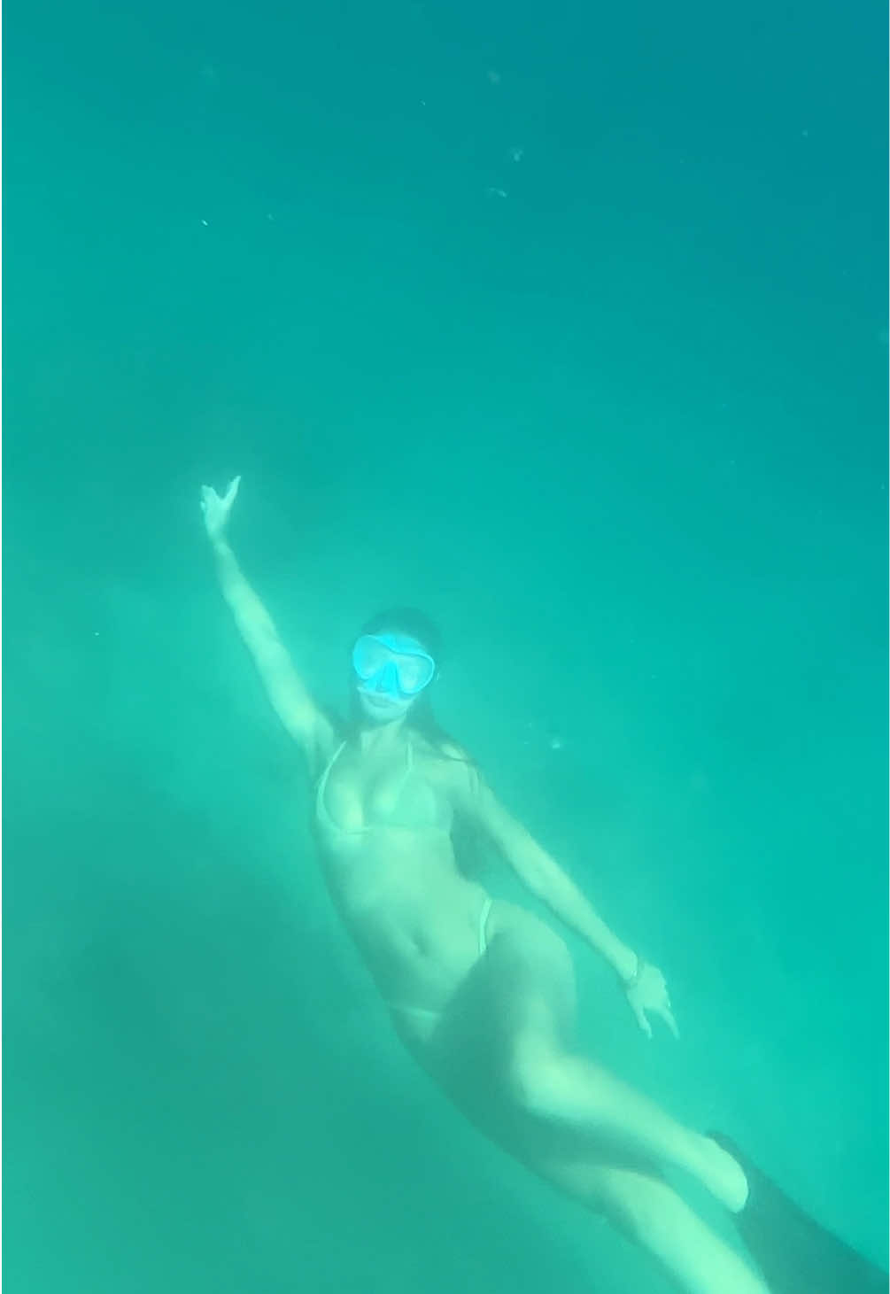 @MAJU 🌊🐚