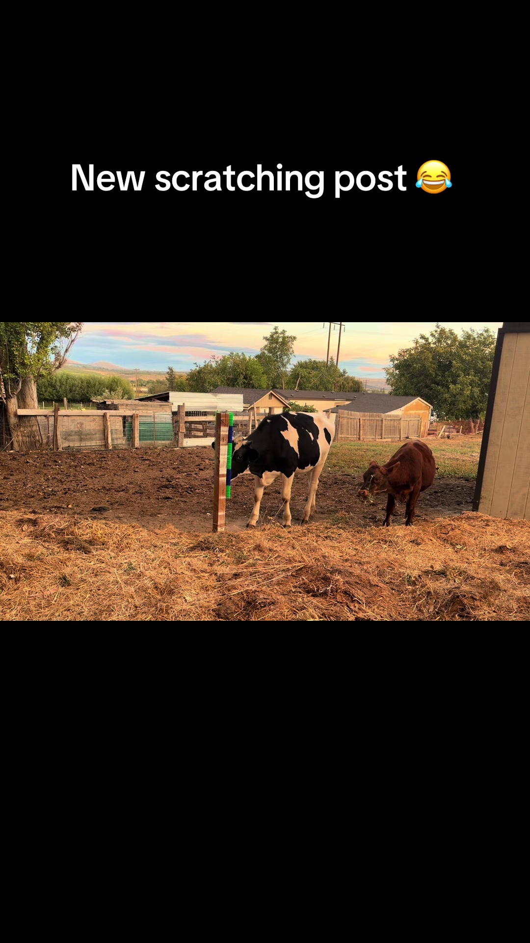 @WollamFarm