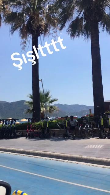 @TC Melek Günay Ayvaz