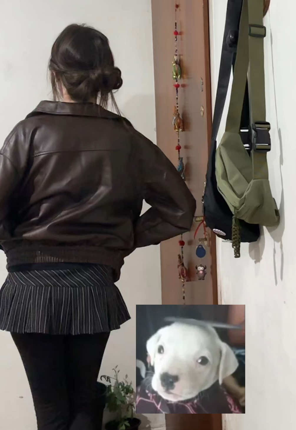 @wuevosdetoro