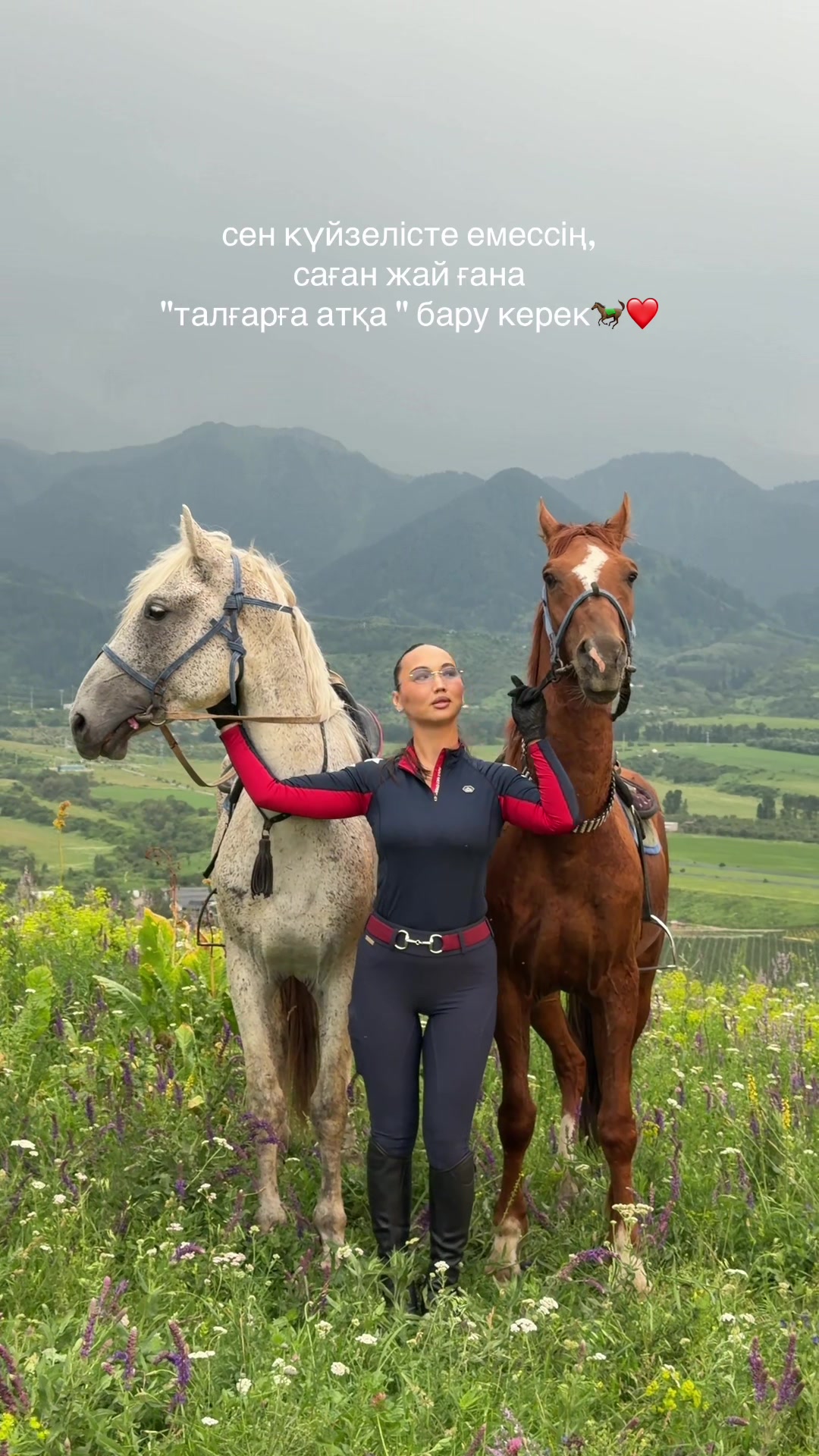 @tulpar_horses