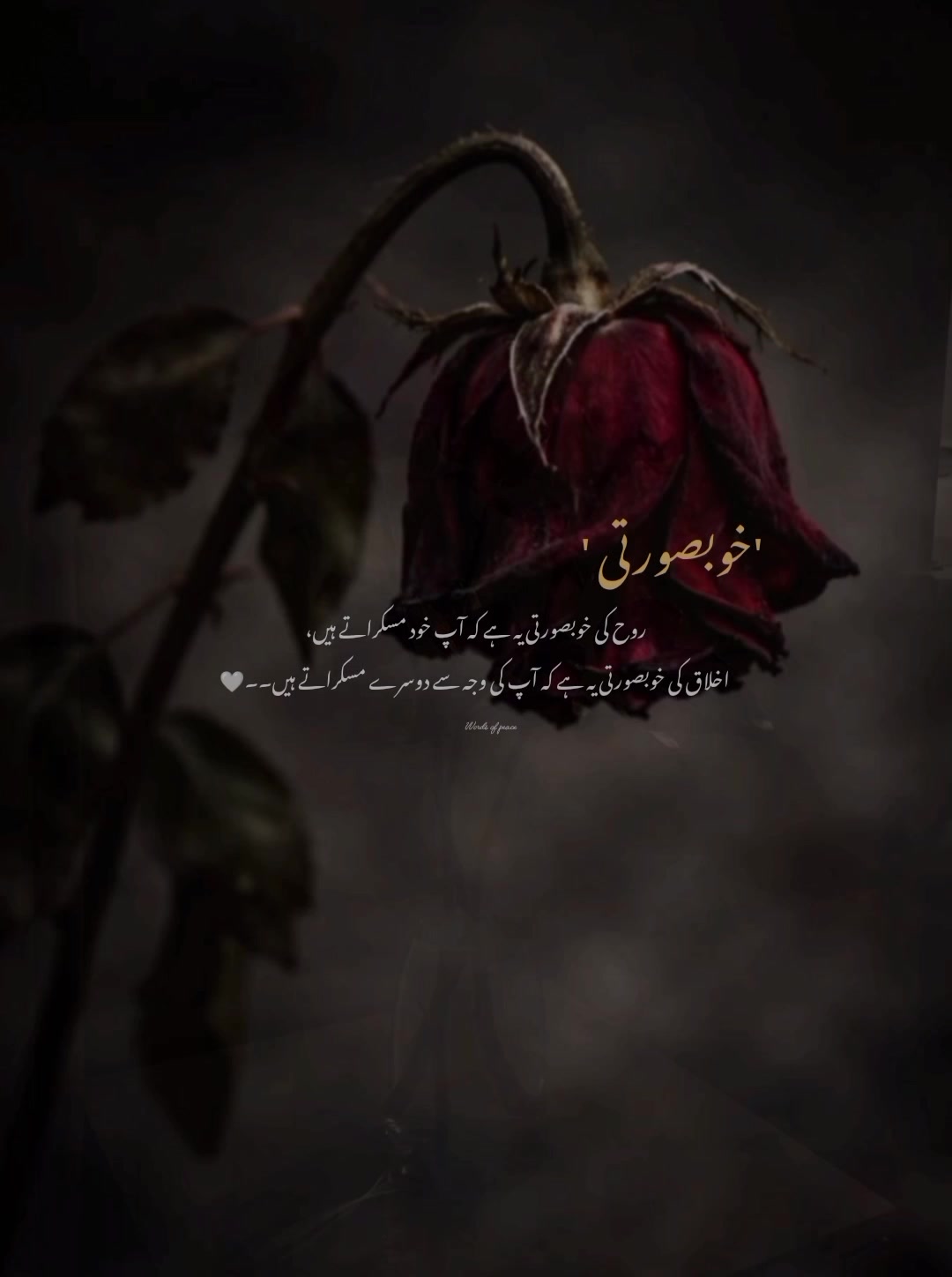 @قلم کی نمی🥀