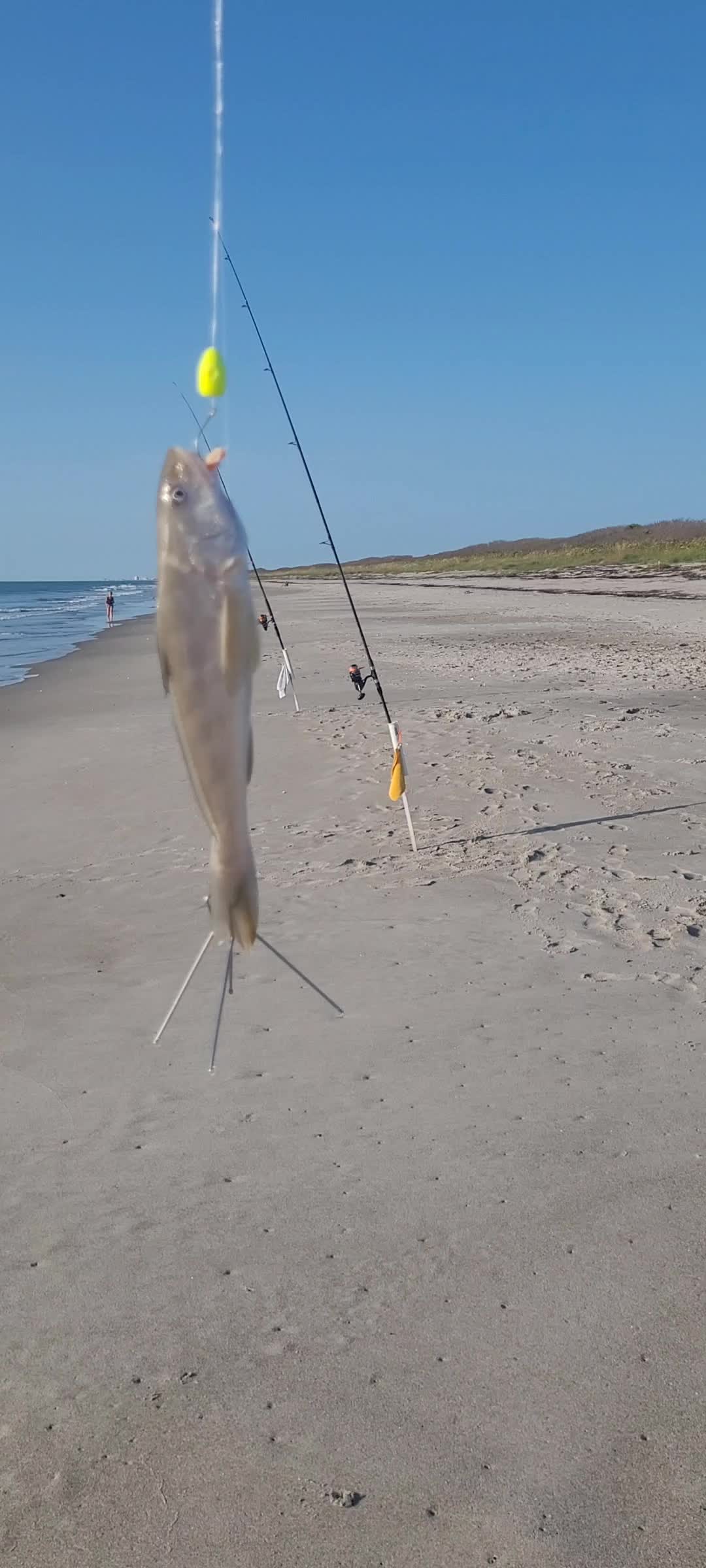 @Ghost of Space Coast Fishing