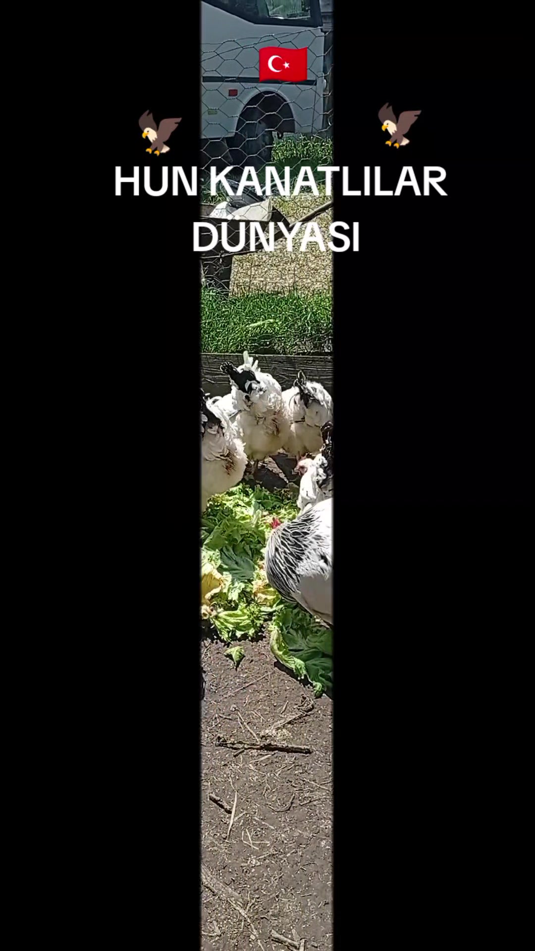 @ABD&Uuml;LKADİR HUN6154
