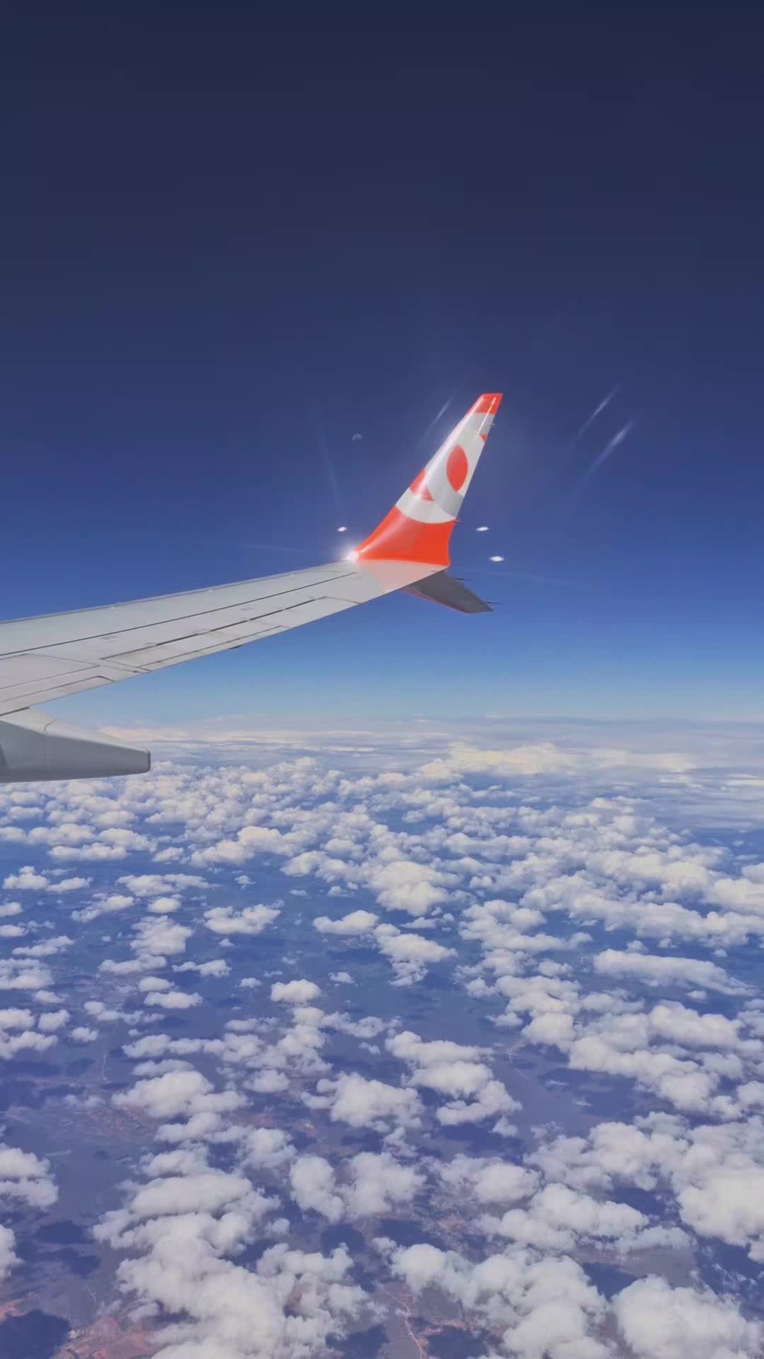 @Gabriel Sena ✈︎