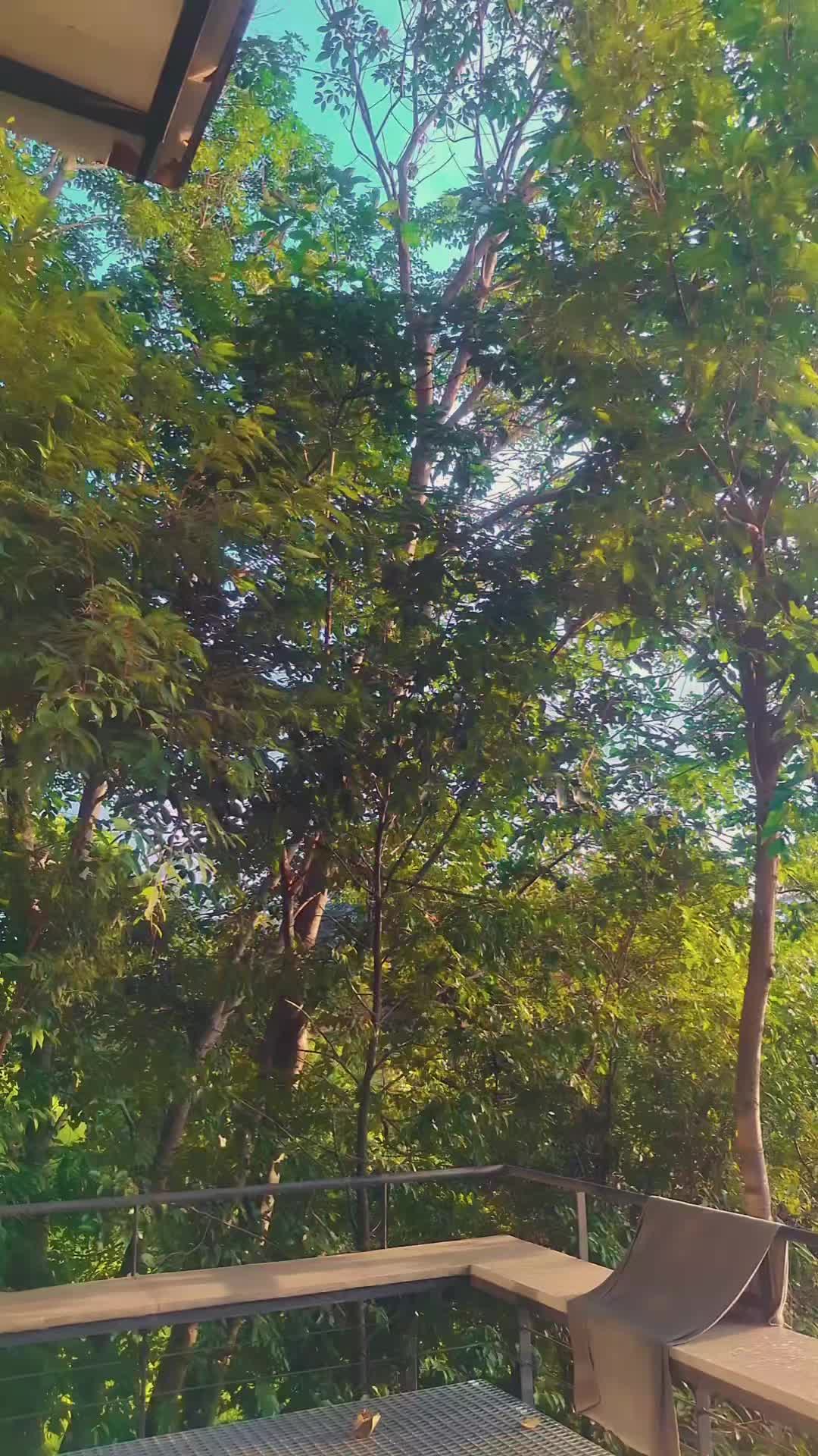 @🕊️  ❤️𝒩𝒾𝓇𝓂𝒶𝓁𝒶 ❤️ 🕊️