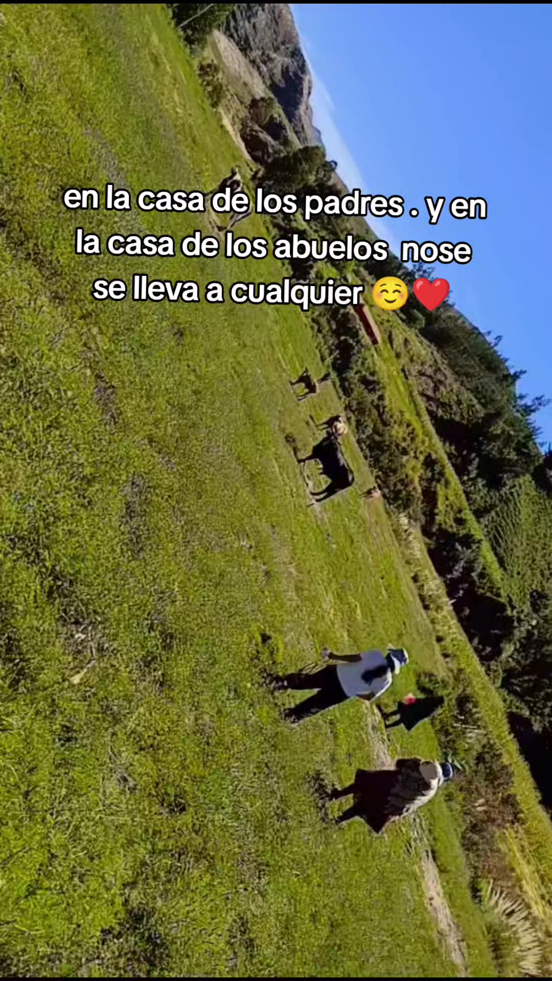 @mariela janco masti