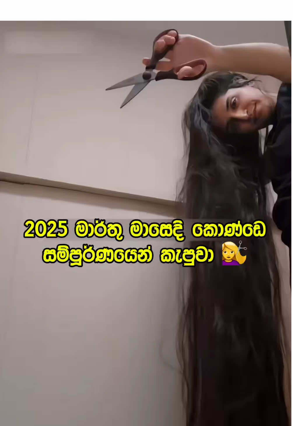 @🧚🏼♀️ කොණ්ඩ කිරිල්ලී 🌿