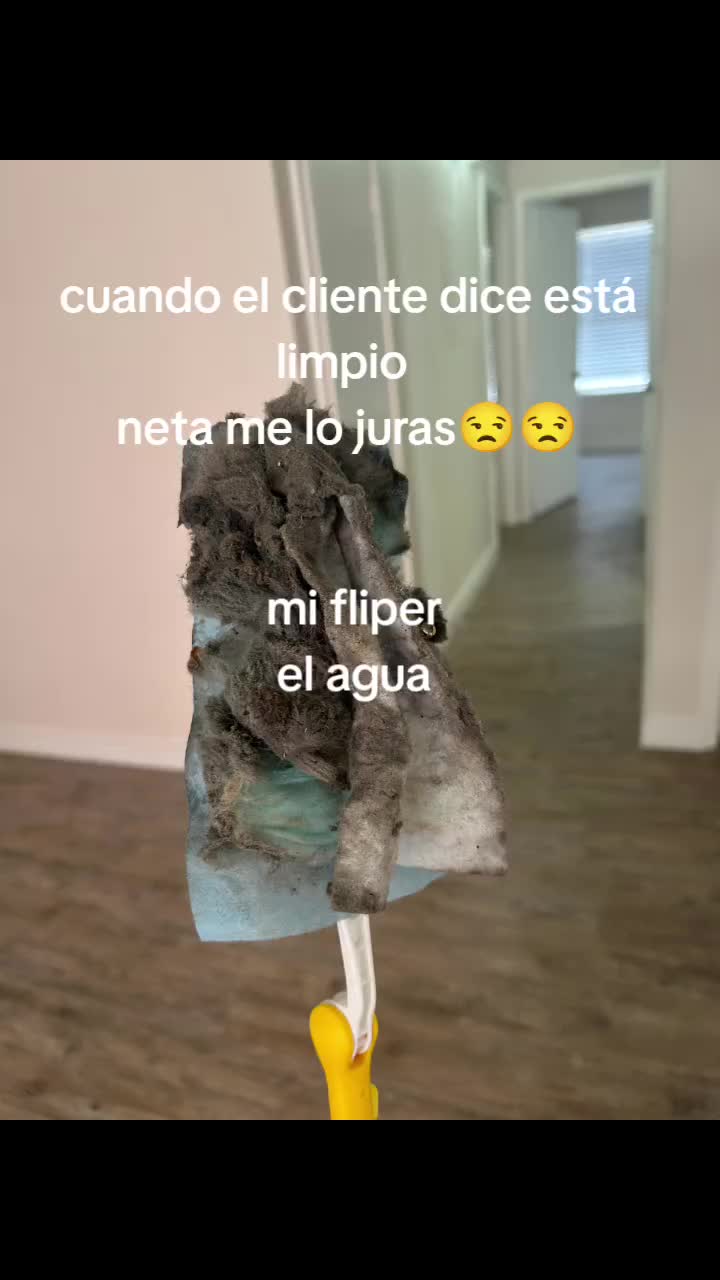 @Elizabeth Salinas