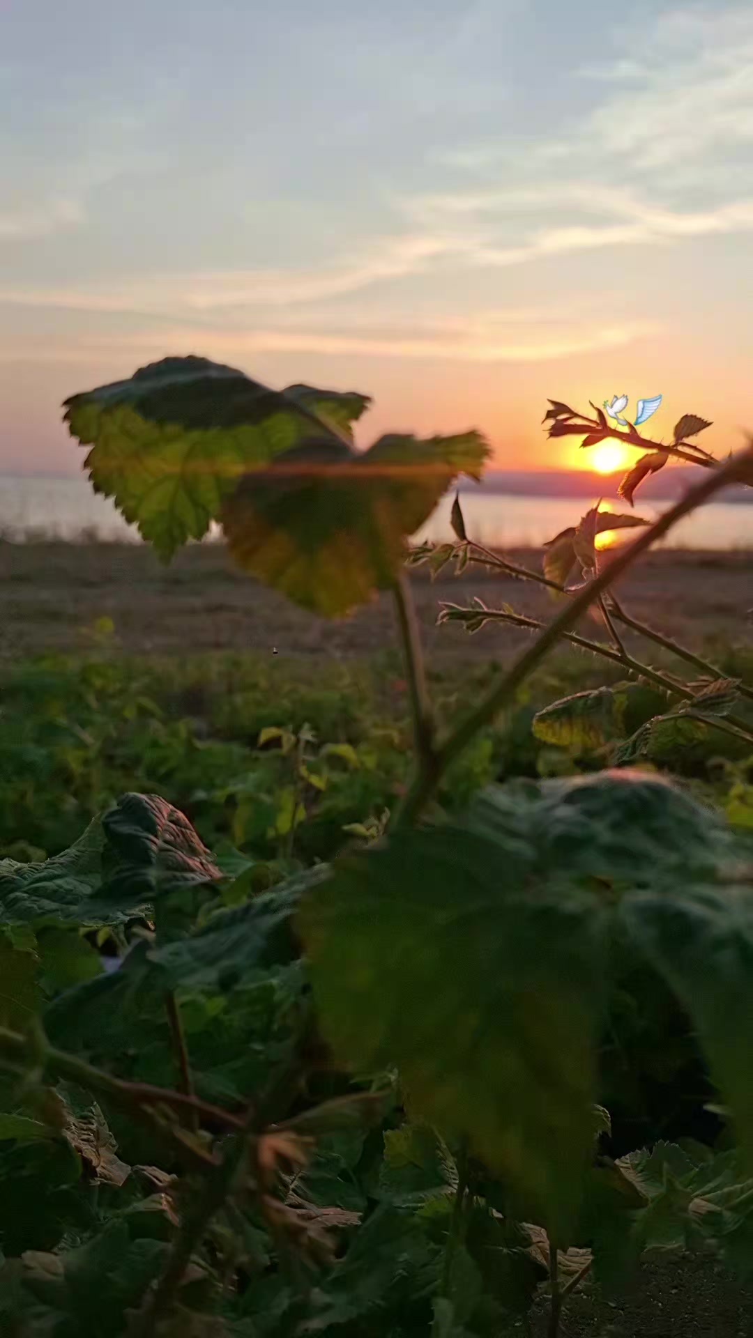 @T_K 41_58 🦞