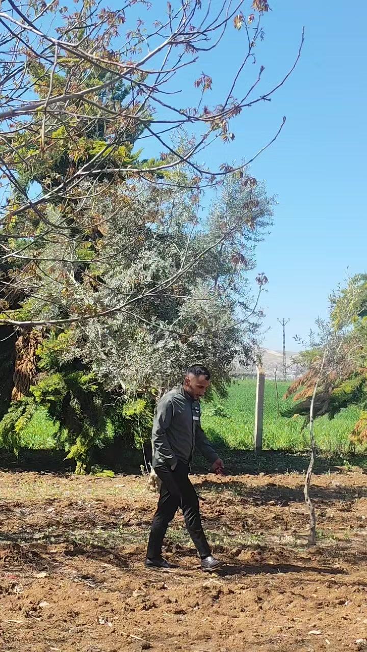 @esmer.8063🕊️