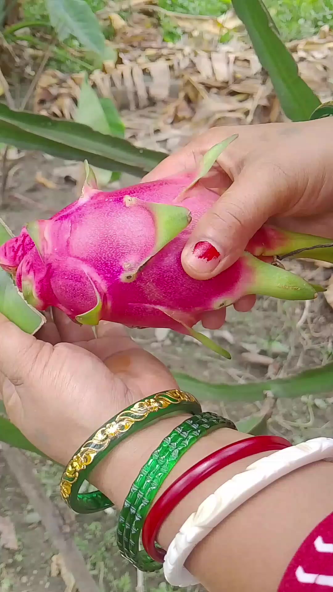 @amrita Sharma