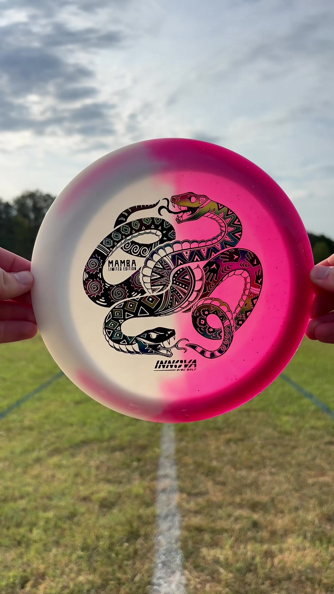 @Foundation DiscGolf