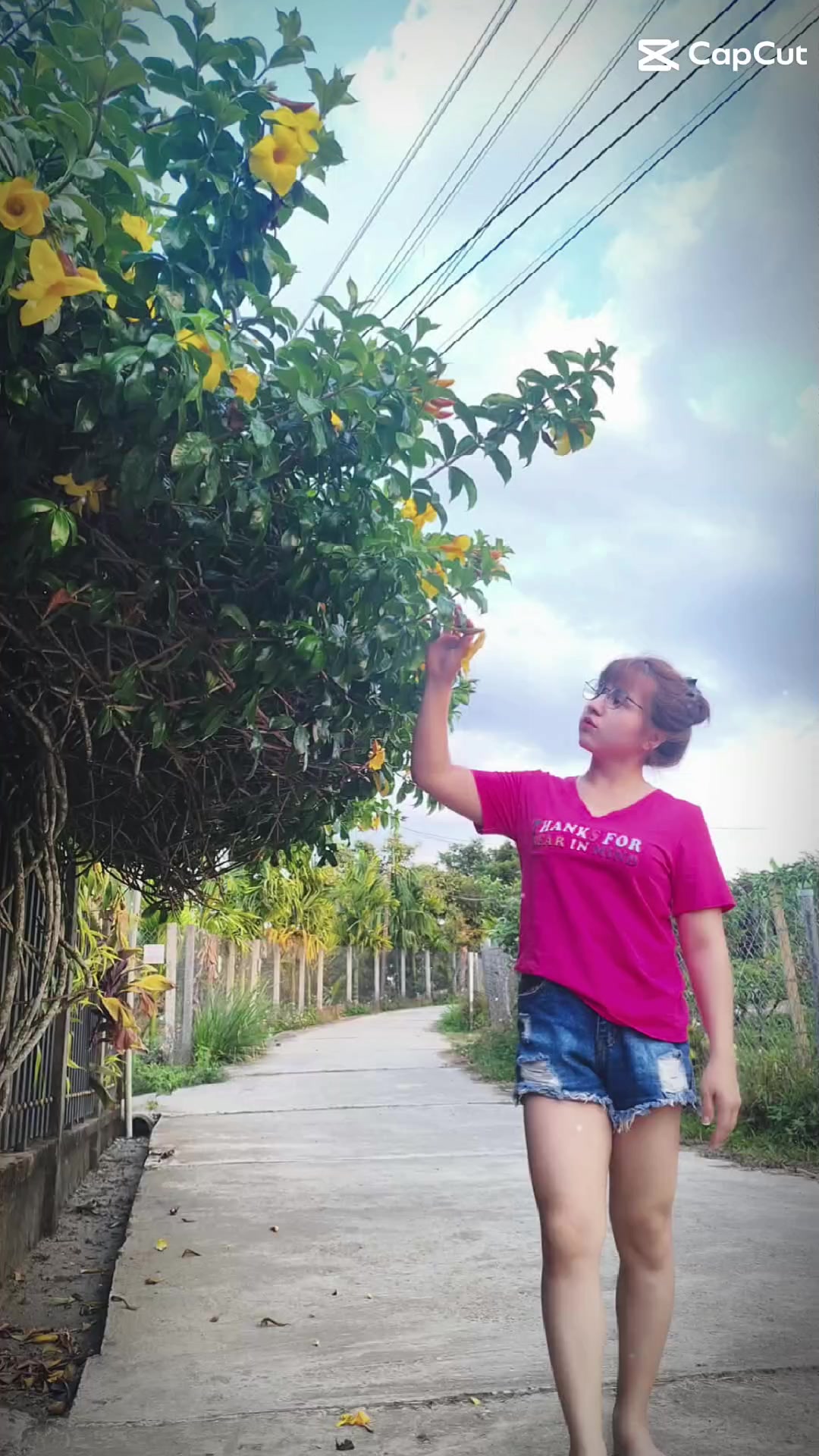 @Nấm 🍄 😊