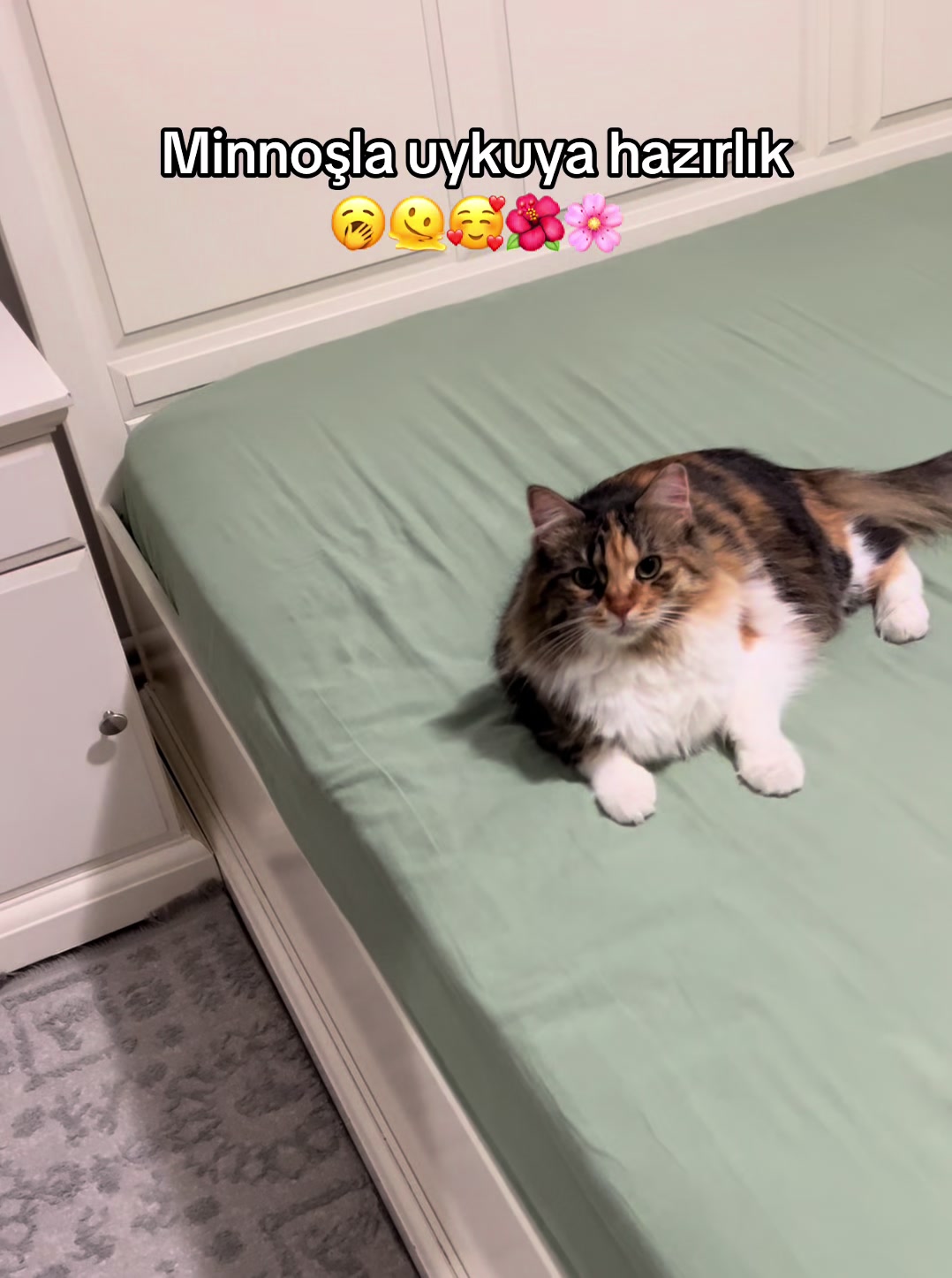 @konusankediminnos