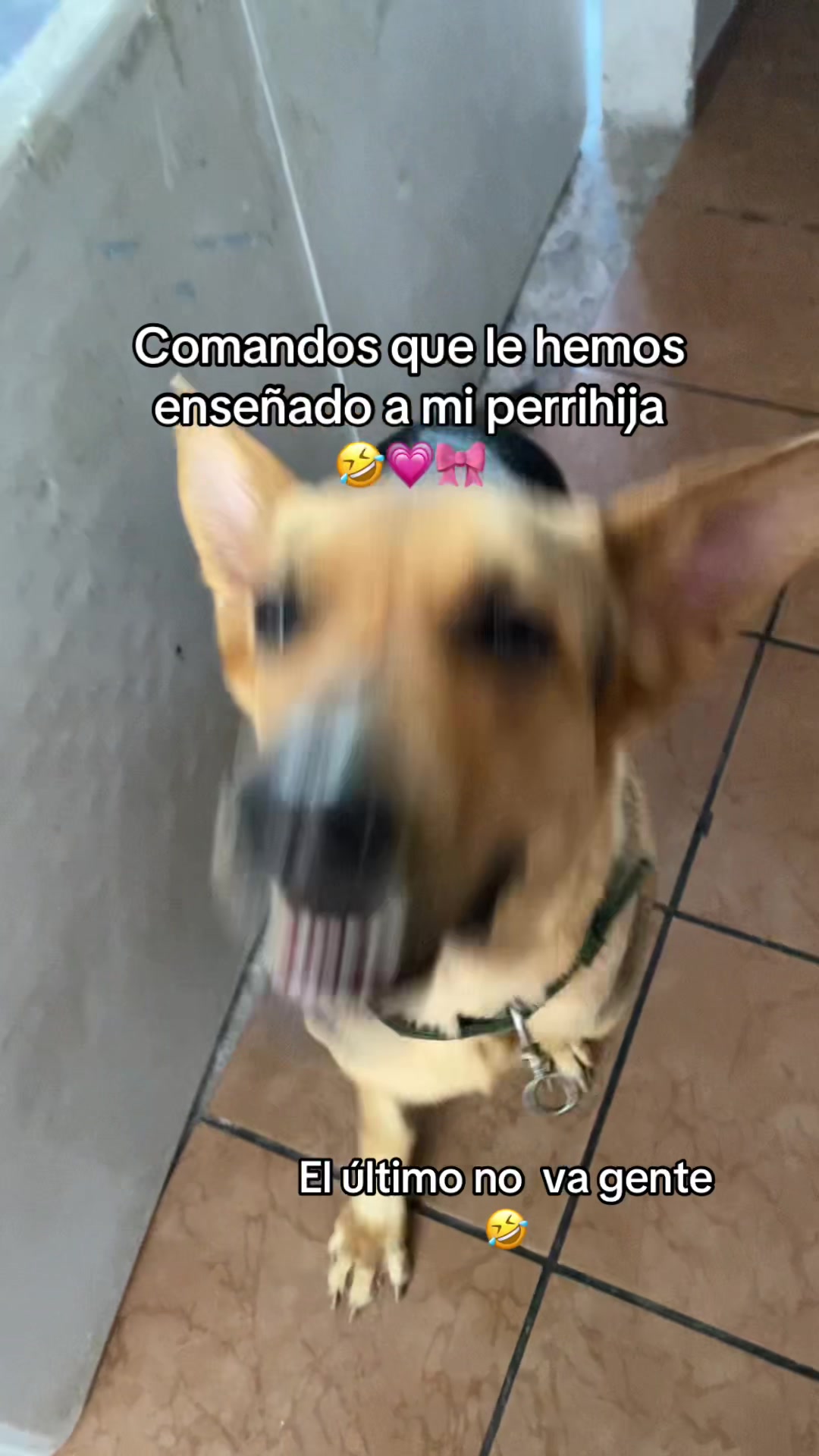 @kathe_ha14