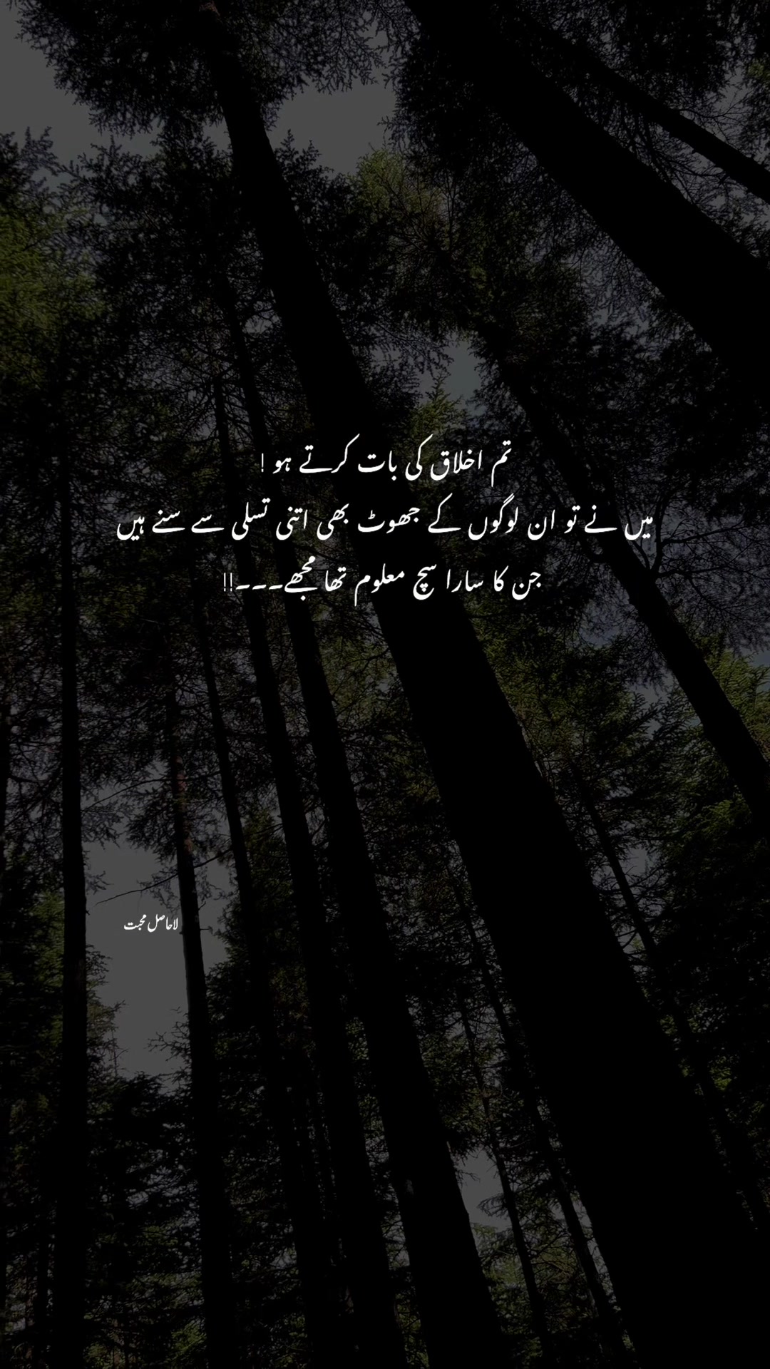 @لا حاصل محبت💔