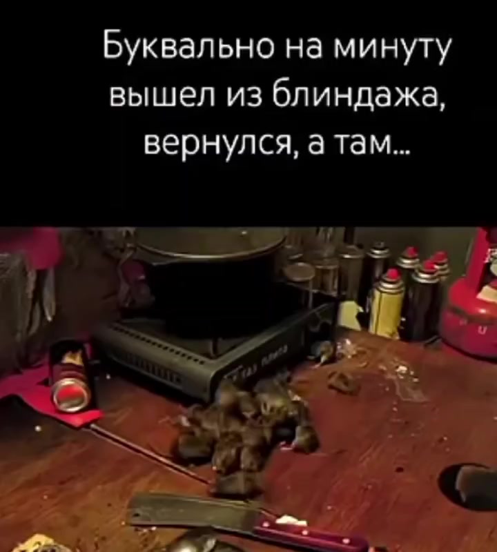 @ВЛАДА🤙🏻 ПОZЫВНОЙ БАСКАРА🇷🇺