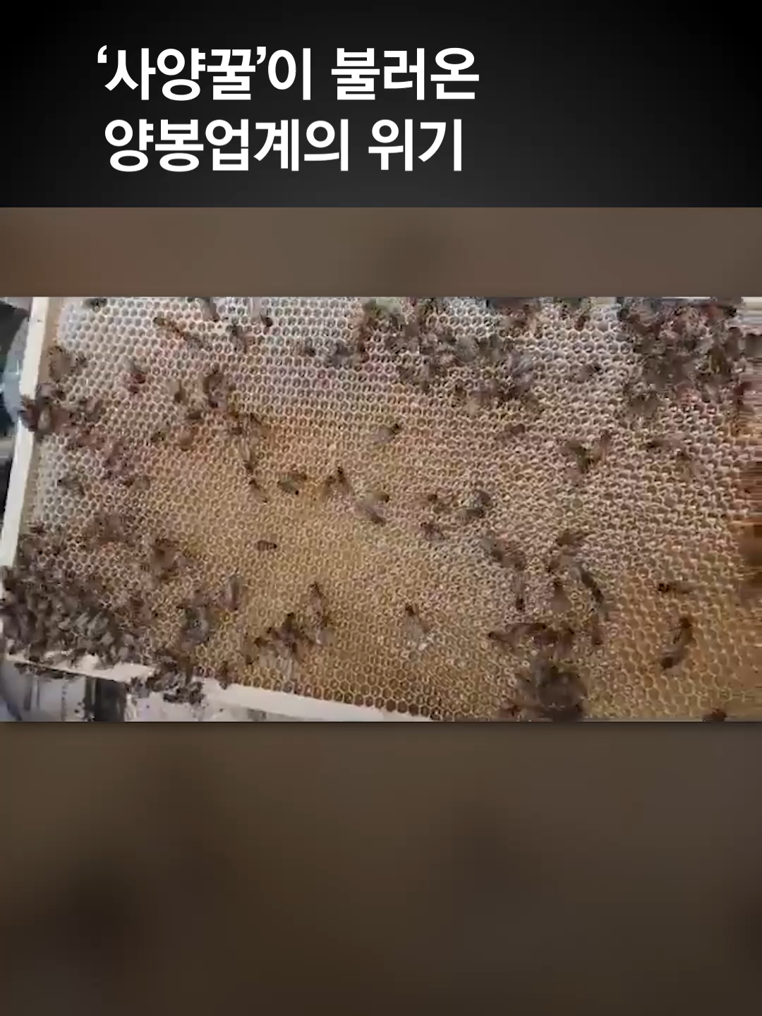@중앙일보 Joongangilbo