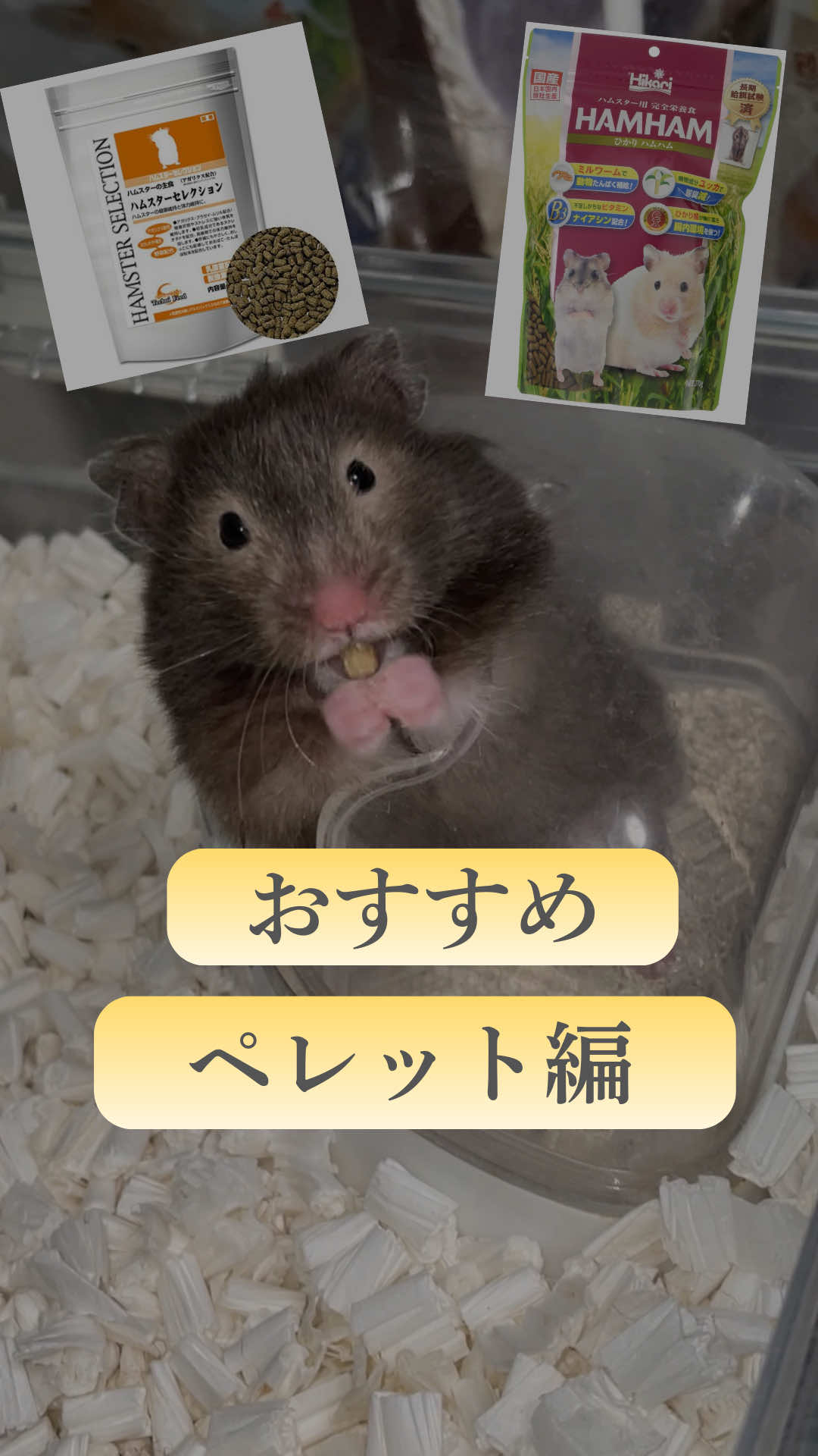 @はむはむパーク