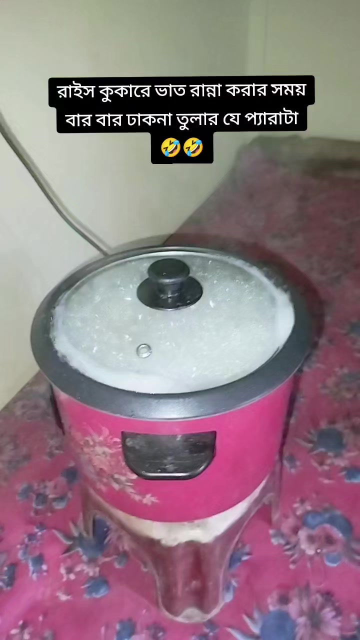 @👩&zwj;❤️&zwj;👩 টুইন বেবির আম্মু 🧕