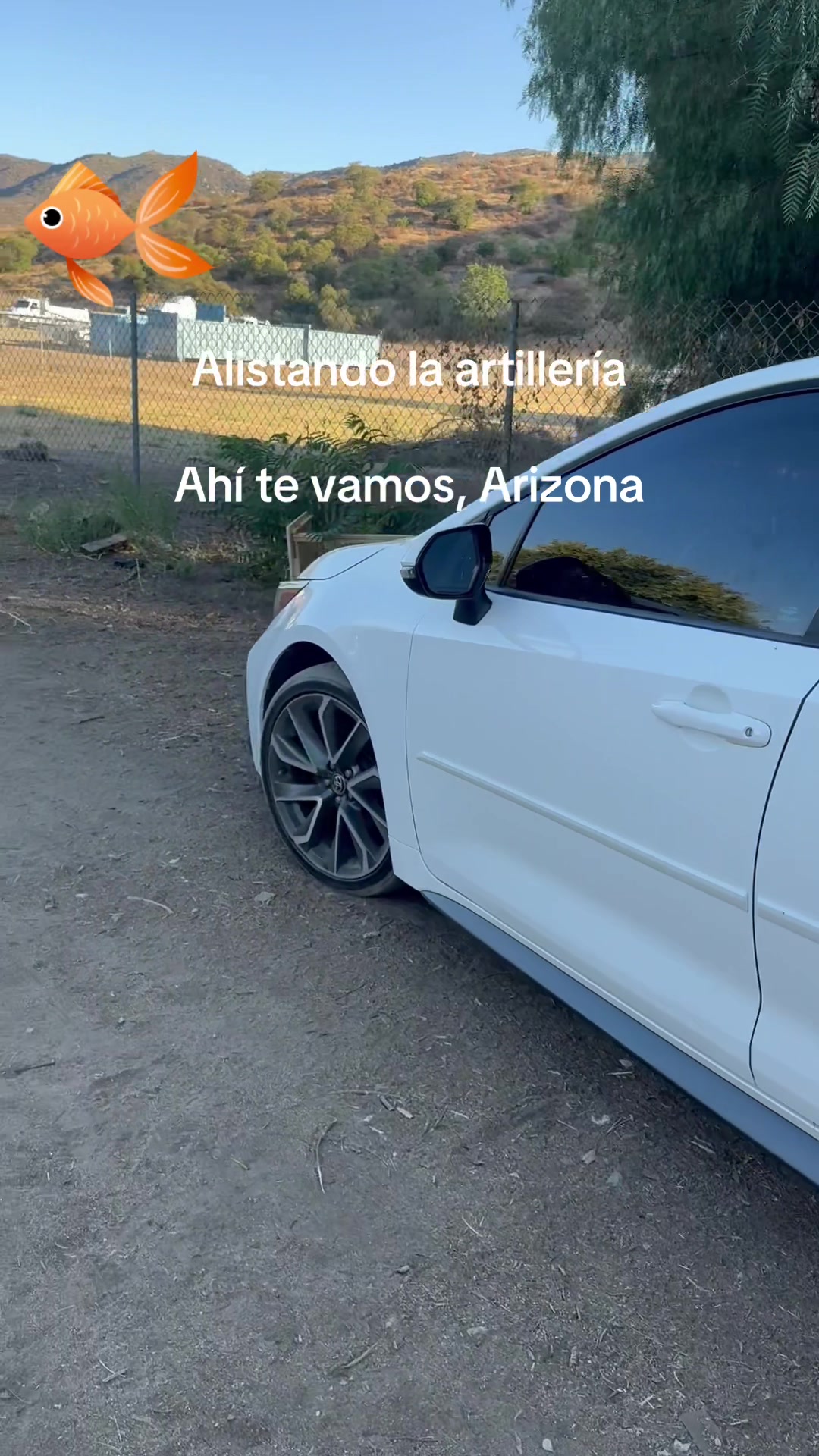 @Alejandro Miranda