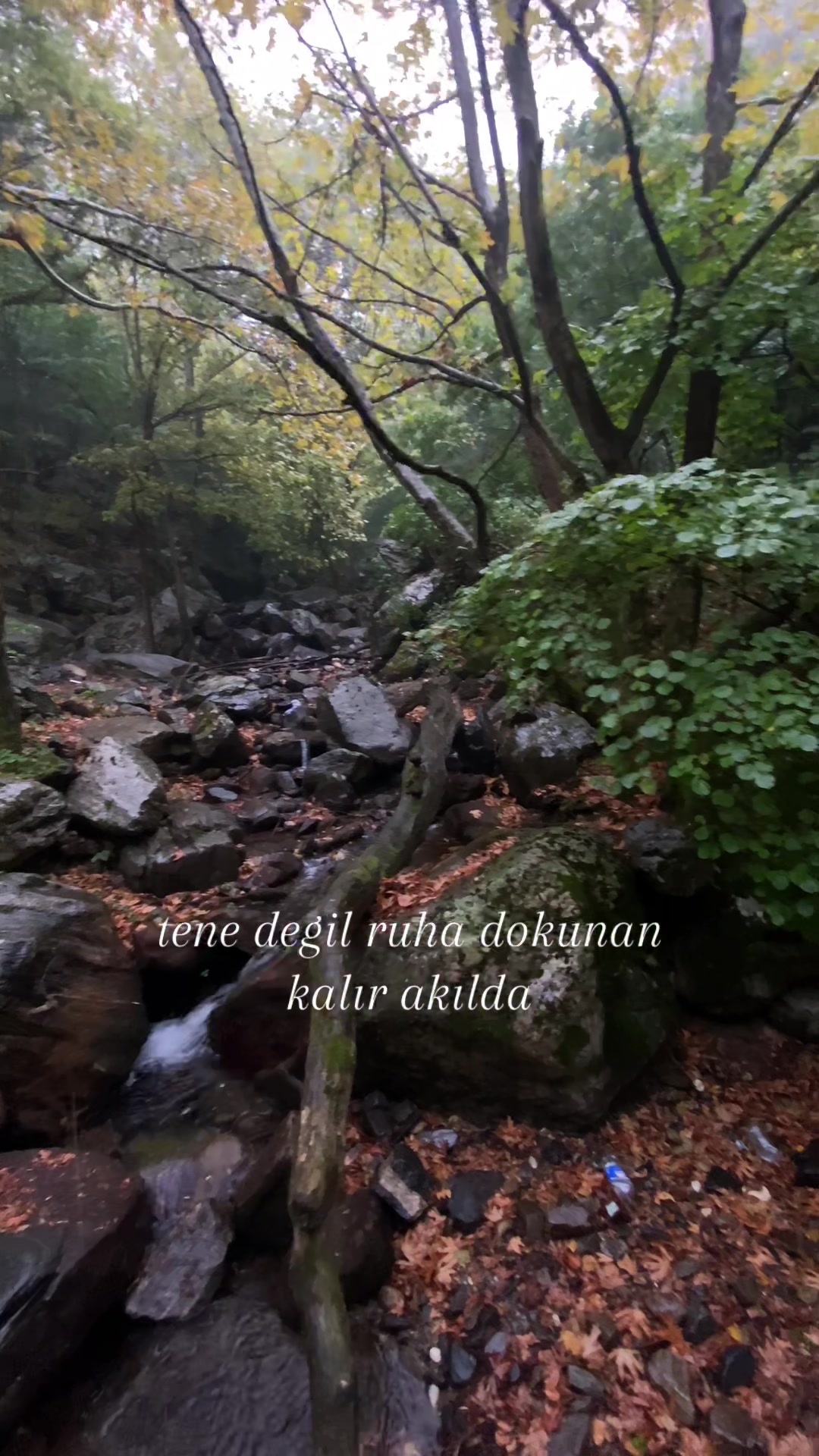 @sudem