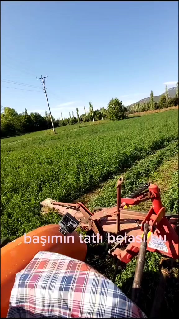 @ayşe ŞEN❤
